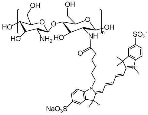 CY5-Chitosan