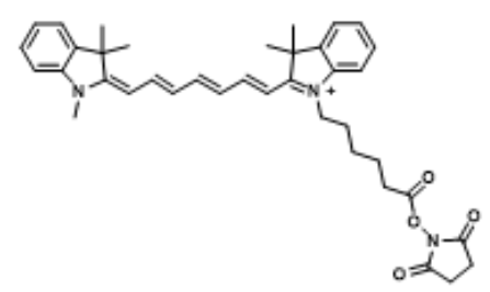 CY7-NHS产品指南（Cyanine7-NHS ester）