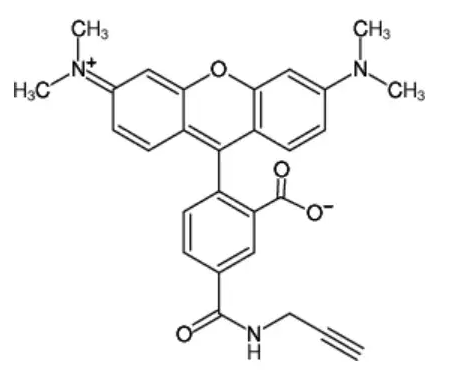 5-TAMRA Alkyne（5-羧基四甲基罗丹明炔烃）