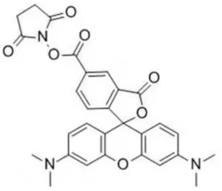 5(6)-TAMRA, SE产品指南,5(6)-羧基四甲基罗丹明活性酯