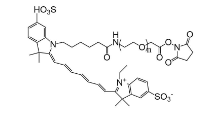 NHS-PEG-CY7