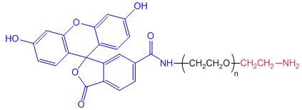 FITC-PEG-NH2产品指南,荧光素-聚乙二醇-氨基