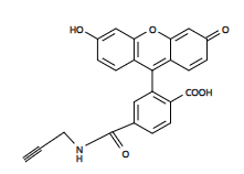 6-FAM Alkyne（6-羧基荧光素炔烃）