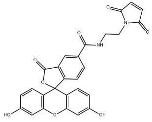 5-FAM Maleimide,羧基荧光素马来酰亚胺