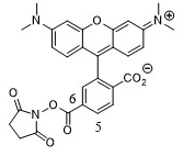 6-TAMRA, SE 羧基四甲基罗丹明琥珀酰亚胺酯