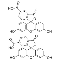 5(6)-FAM 产品指南,5(6)-羧基荧光素