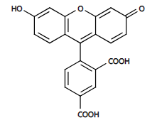 5-FAM Me-tetrazine 羧基荧光素甲基四嗪