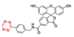 5-FAM Tetrazine产品指南,1402432-77-2