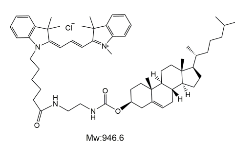 ‌CY3-胆固醇,荧光标记技术‌