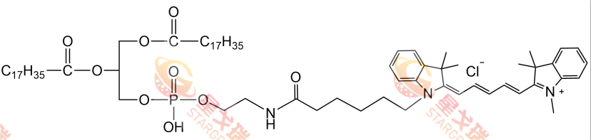 ‌DSPE-CY5,荧光标记脂质‌