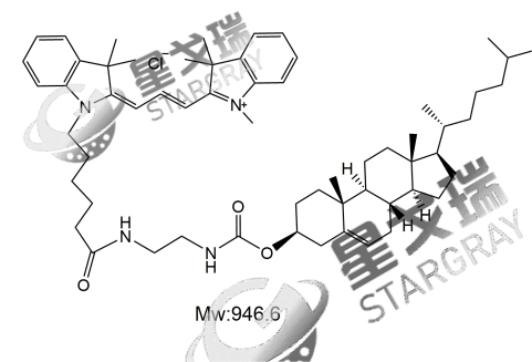 CY3-胆固醇