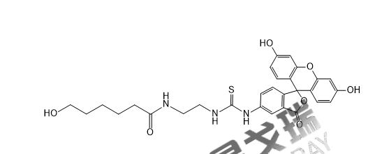 FITC-6-羟基己酸.png