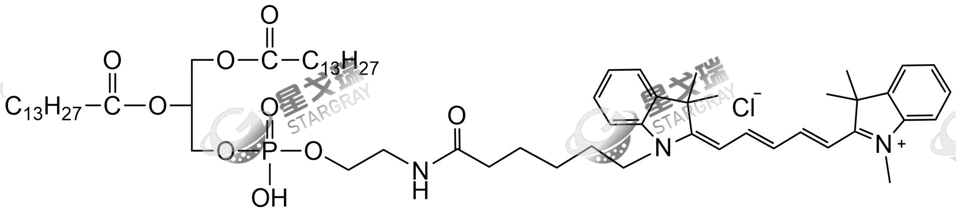 DMPE-CY5