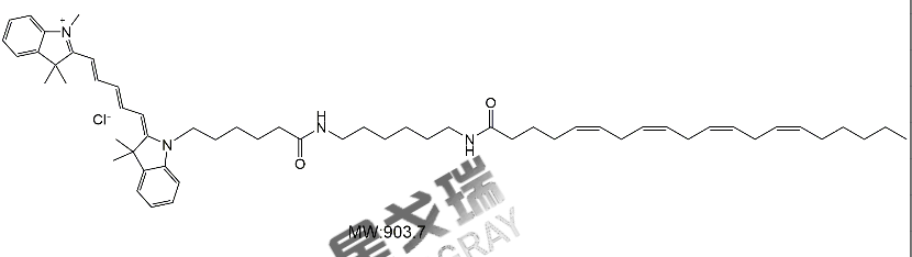 星戈瑞官网,CY5-花生四烯酸介绍