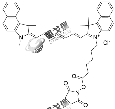 Cy7.5 NHS Ester荧光探针介绍