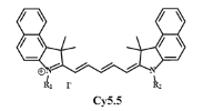 CY5.5