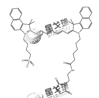 ICG-Maleimide 