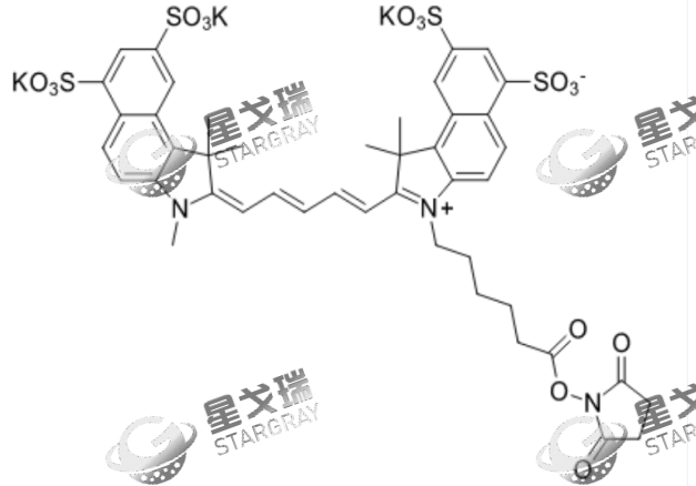 Sulfo-Cy5.5 NHS