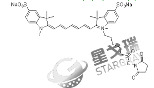 水溶CY7-NHS