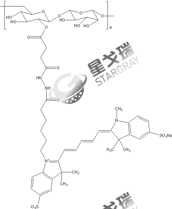 CY5-Dextran