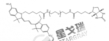 CY3-PEG2000-Biotin,生物医学研究中荧光标记复合物