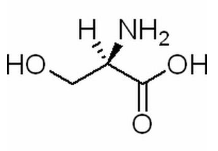 丝氨酸