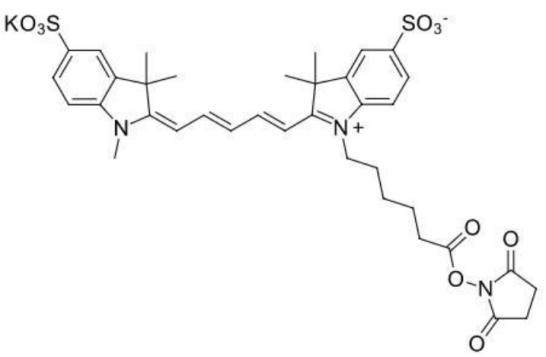 Sulfo-CY5 NHS荧光染料的化学应用2230212-27-6