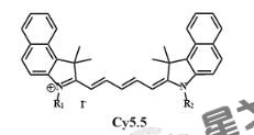 ‌CY5.5-MAL,马来酰亚胺-Cyanine5.5之荧光科研问答